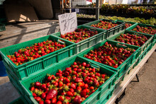 trays of strawberries for sale at the markets