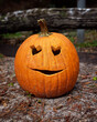 Carved Pumpkin Jack O Lantern Halloween Decoration