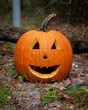 Carved Pumpkin Jack O Lantern Halloween Decoration