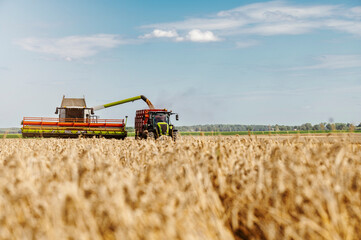 Agriculture field with heavy machinery ready to hrvest during harvesting season in the end of summer