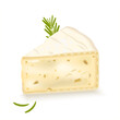 A slice of brie cheese, triangular piece soft cheese. Dairy and cheese products. Soft camembert cheese. Realistic vector illustration isolated on white background. Rosemary leaf on a piece of brie. 