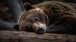 Brown bear resting peacefully on a large log, giving the impression of a deep slumber. AI-generated.