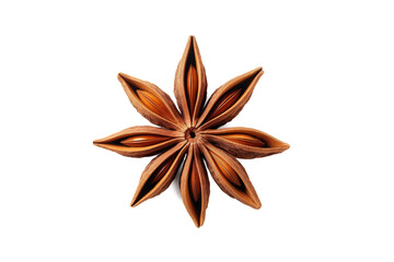 Wall Mural - Chinese Star anise (Illicium verum) isolated on transparent background, Asian organic Herb and spice concept, Natural organic healthy plant.