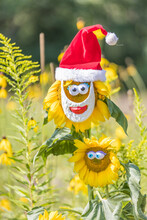 Santa And Friend Sunflower