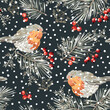 Christmas seamless pattern, robin birds, pine twigs, red berries, snow, black night background. Vector illustration. Nature design. Season greeting. Winter holidays