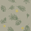 Silverweed with flowers and leaves. Argentina anserina, medicinal plant. Blossom wildflowers for wallpaper, textile, wrapping paper. Sketch style. Hand drawn vector seamless pattern