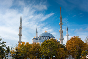 Wall Mural - Autumnal view of the Blue Mosque,  Istanbul, Turkey