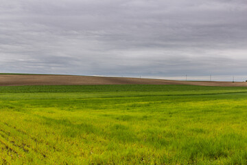 Wall Mural - Green landscape near Lysa nad Labem, Czech Republic