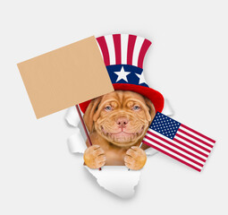 Poster - Smiling Mastiff puppy wearing like Uncle Sam looking through a hole in paper and shows empty placard. isolated on white background