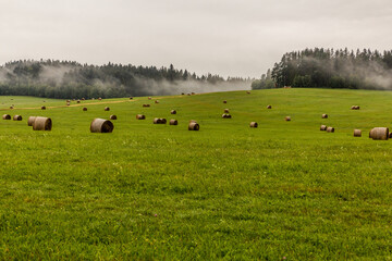 Wall Mural - Meadows near the southernmost point of the Czech Republic