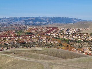 Wall Mural - The streets of San Ramon are lined with Callery Pear and Sycamore trees that turn red and yellow in November