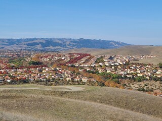 Wall Mural - The streets of San Ramon are lined with Callery Pear and Sycamore trees that turn red and yellow in November