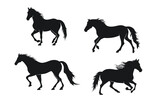 Fototapeta Konie - Horse silhouettes detailed, running horse silhouette