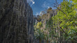 Sheer grey limestone cliffs of Tsingy De Bemaraha. Sharp peaks against the blue sky. Green tropical vegetation grows in the gorge. Madagascar. Bekopaka