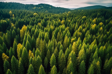 Magnificent mountain and forest scenery illustration from the sky, as if shot by a drone.