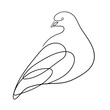 Dove of peace one line drawing. Pigeon Abstract line art. Minimalistic linear vector