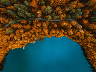 Wall Mural - Aerial top view of country road in autumn fall forest and blue lake. Rural landscape in Finland.