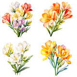 Set of watercolor freesia  flower on transparent background.