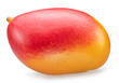 Ripe mango fruit with red-yellow skin on white background. Clipping path.