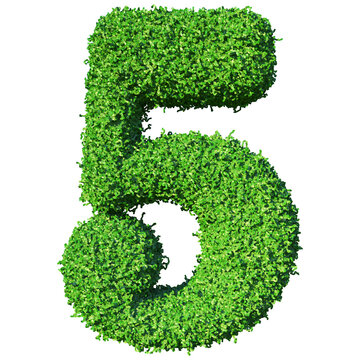 Grass Number 5 - 3d Green Number