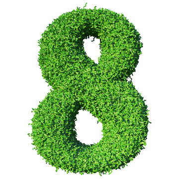 Grass Number 8 - 3d Green Number
