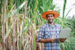 © kamonrat - young farmer with laptop in sugarcane field to checking quality before harvest.technology, agriculture and farming concept