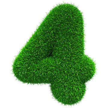 Grass Number 4 - 3d Rendering