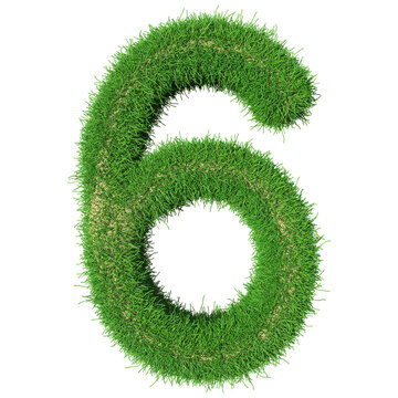 Grass Number 6 - 3d Rendering