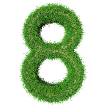 Grass Number 8 - 3d Rendering
