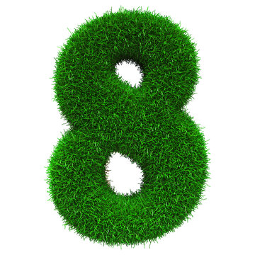 Grass Number 8 - 3d Rendering