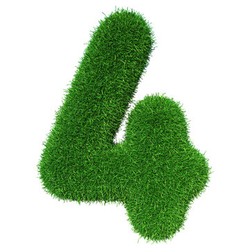 Grass Number 4 - 3d Rendering