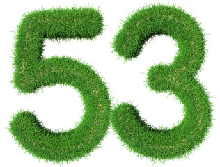 grass number 53 - 3d green number