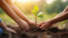 People Hands Planting Small Tree In Sunset. Concept Save Earth, Generative AI