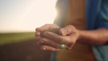 Soil In The Hands Of The Farmer. Agriculture. Close-up A Of Farmers Hands Holding Black Soil In Their Hands, Fertile Land. Garden Field Ground Fertile Sun Concept. Worker Holding Soil Plowed Field