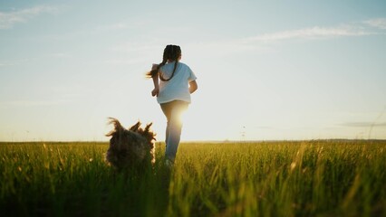 little girl child and dog a run in the park. happy family kid dream holiday concept. girl child silhouette view from the back runs with a pet dog on the grass in the sunset summer in the park at