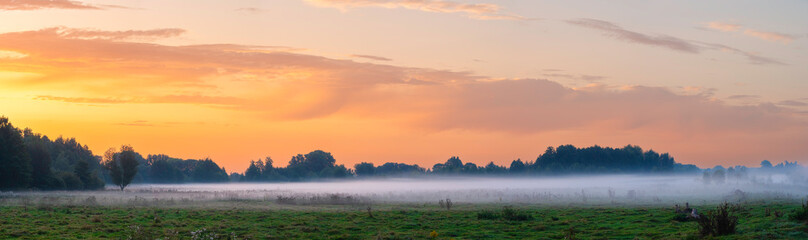 Wall Mural - Colorful country landscape with fog over a meadow with trees in the early morning. End of summer, beginning of autumn. Panorama.