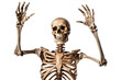 © comicsans - A Halloween skeleton isolated on white background - Generative AI