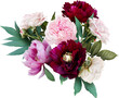 Pink roses and maroon peony isolated on a transparent background. Png file.  Floral arrangement, bouquet of garden flowers. Can be used for invitations, greeting, wedding card.