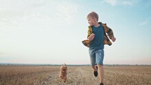 Boy And Dog Running. People In The Park. Little Kid Child Running Across A Mowed Wheat Field With A Pet Dog Happy Smiling. Happy Family Kid Concept. Child Boy Run The Park With A Dream Dog