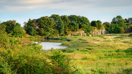 Wall Mural - marshland at embleton quarry nature reserve, a former whinstone quarry the new reserve is a tribute 