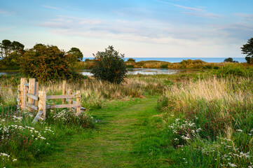 Wall Mural - the north sea by embleton quarry nature reserve, a former whinstone quarry the new reserve is a trib