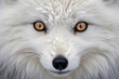 © ADDICTIVE STOCK - Generative AI illustration of portrait of wild white fox with long fur and brown eyes looking at camera