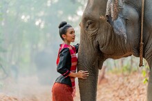 Young Asian Thai Woman In Traditional Northeast Costume Pampering An Elephant In A Jungle. Thai Lady Posing With An Elephant In A Forest.