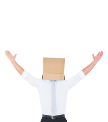 Poster - Digital png photo of caucasian businessman with box on head on transparent background