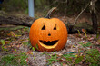 Jack O Lantern in the Woods