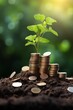 Photo of a plant sprouting from a pile of coins, symbolising growth and prosperity. Renewable energy generation is essential for the future. Saving money for the future. Investment Ideas and green bus