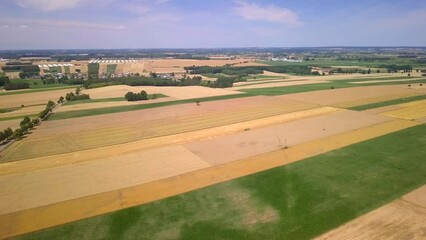 Wall Mural - Beautiful summer fields from above. AERIAL landscape