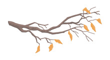 Cartoon Clipart Of Bare Branch. Doodle Of Tree Branch With Fallen Leaves. Contemporary Vector Illustration Isolated On White Background.