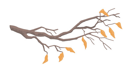 Cartoon clipart of bare branch. Doodle of tree branch with fallen leaves. Contemporary vector illustration isolated on white background.