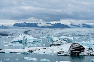 Wall Mural - Ice chunks in the Jokulsarlon Jokulsarlon glacial lagoon in Iceland